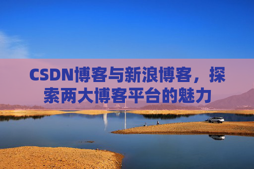 CSDN博客与新浪博客，探索两大博客平台的魅力
